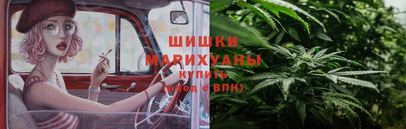 Бошки Шишки THC 21%  купить закладку  KRAKEN как войти  Белая Холуница 